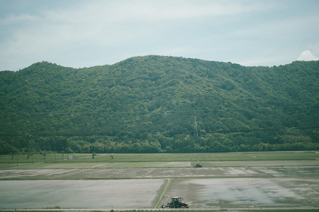 山　田舎