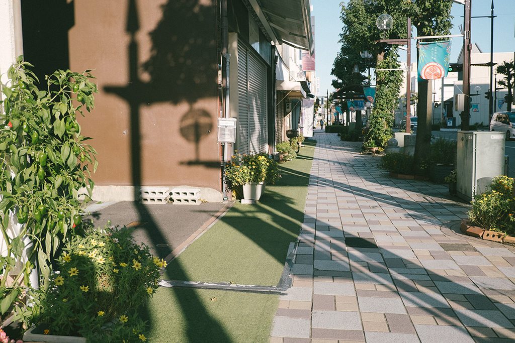 岡崎 愛知県 まち歩き