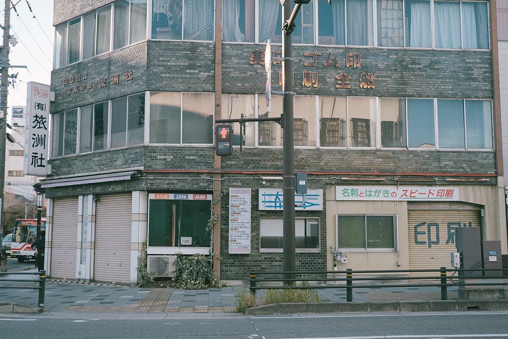 雑草 愛知 岡崎 まち歩き